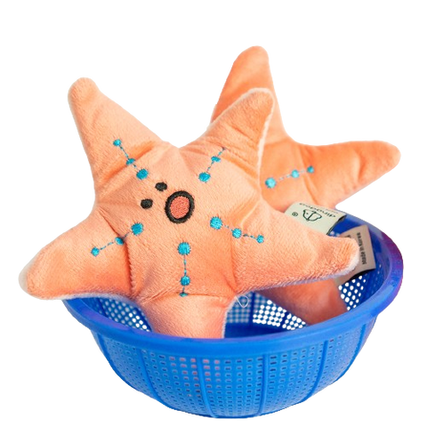 Starfish nose work toy